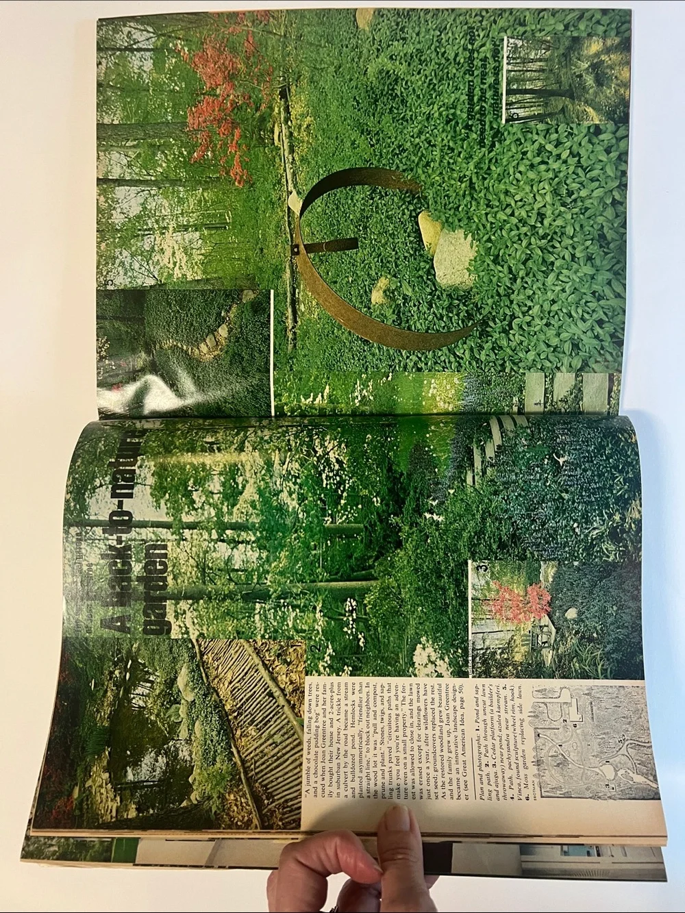 1974 Vintage House & Garden decorating magazine October 1974